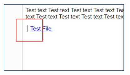 Screenshot showing space in from of the test file