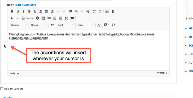 Place Cursor in WYSIWYG for Accordions screenshot