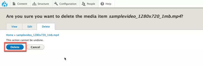 Confirm Delete Media Button screenshot