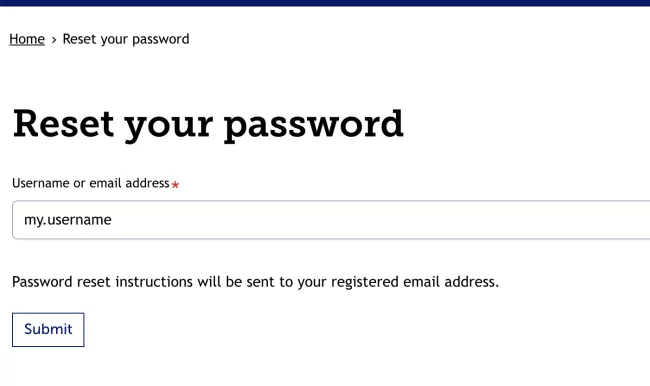 Screenshot of the Password Reset page