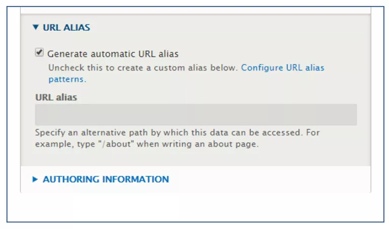 Custom URL Alias box