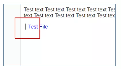 Screenshot showing space in from of the test file